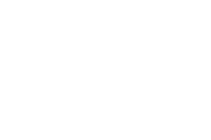 logo Waves - Your social voice white